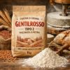 Molino Zappala' 5Kg Farina di Grano tenero tipo 2 Variet Gentilrosso (molitura a pietra)