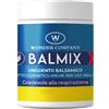 Lr Wonder Company Lr Company Balmix Unguento Balsamico 100ml