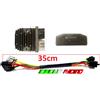 SHINDENGEN REGOLATORE FH020AA+CABLAGGIO DUCATI Sport Classic Paul Smart LE 1000 2006