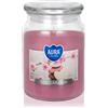 BISPOL Spa Garden 500 g