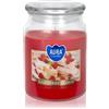 BISPOL Rospberry Cloud 500 g