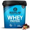 Bodylab24 Proteine Whey in Polvere, Cioccolato alla Nocciola 1000 g