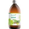 Biostile Rene Sciroppo 500 ml Sciroppo
