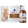 RECOACTIV® Renaltan Tonico 3x90 ml Tonico