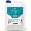 FFitness GEL MANI PROFESSIONALE IGIENE 70% ALCOOL TANICA 5 LITRI 1 St
