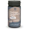 RedMoringa CAPELLI Equiseto, Miglio e Biotina 60 Capsule 1 pz Capsule
