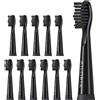 AILORIA FLASH TRAVEL Set di 12 testine di ricambio per spazzole 1 St