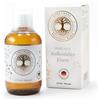 VINETASOL - Ferro Colloidale 100 ppm 250 ml
