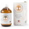 VINETASOL - Rame colloidale 10ppm 500 ml Fluido