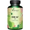 VEGAVERO Ashwagandha KSM-66 BIO 90 pz Capsule
