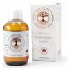 VINETASOL - Rame colloidale 10ppm 250 ml Fluido