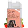 Annimally Elettroli Liquidi 1000 ml Sciroppo