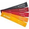 FITPADDY - Kit 5 elastici fitness 18x8,5x3 cm