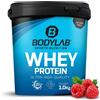 Bodylab24 Proteine in polvere, Yogurt al lampone 1000 g