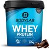Bodylab24 Proteine in Polvere, Cioccolato 1000 g