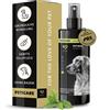 Peticare shampoo a secco cani, pulizia senz'acqua con olio di argan e