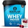 Bodylab24 Proteine Whey in Polvere, Yogurt alla Ciliegia 1000 g