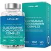 Aavalabs Glucosamina Condroitina Boswellia MSM | Senza pesce e crostac