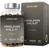 Aavalabs Shilajit Himalaya Mumijo | Ricco di nutrienti e 50% di acido
