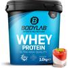 Bodylab24 Proteine Whey in Polvere, Pannacotta 1000 g