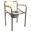 Ausilium Sedia Pieghevole Comoda 4 in 1 per Wc o Doccia Altezza Regola