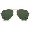 Twig occhiali da sole unisex Pennac Royal Green 1 St