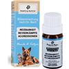 Paws & Patch PAWS&PATCH Miscela di fiori secondo il Dr. Bach AGGRESSIVITÀ 10 g Glob