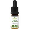 Cannalin - Olio CBD Full Spectrum per i Cavalli - 10% 30 ml Olio