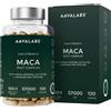 Aavalabs Maca nera e gialla con ginseng | Maca peruviana e alta concen