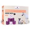 PAWS&PATCH Bende autoadesive CUORE BOX 6 pz Bendaggio/i