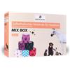 PAWS&PATCH Bende autoadesive MIX BOX 6 pz Bendaggio/i