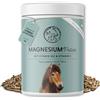 Annimally Pellet di Magnesio 1 kg Pellets