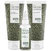 Australian Bodycare Kit Australian Bodycare per la cura del corpo contro la perdita dei ca