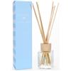 Agua de Baleares Profumo per ambiente Formentera Mikado 100 ml