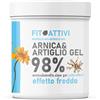 Fitoattivi Arnica&Artiglio Effetto Freddo 98% Gel 550ml 550 ml Gel