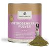 PAWS&PATCH polvere di cisto 250 g Polvere