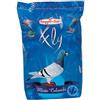 Raggio di Sole Mangimi Fly Colombi Mix Piccioni C - Raggio di Sole Mangimi - Fly Colombi Mix Piccioni C - 25KG