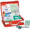 Farmacare Pacchetto di Medicazione Completo Allegato 2 Dm 388 Del 15/07/2003 1 pz Altro