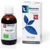 Fitomedical Ribes Nero Tintura Madre Fitomedical 50 Ml Bio