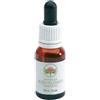 Green Remedies She Oak Bush Flower 15 Ml
