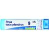 BOIRON Srl Rhus toxicod boi*9ch 80gr 4g - BOIRON - 046498085