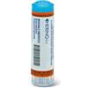 Thuya occidentalis 200ch gl 1 g - HERING - 048660892