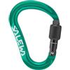 SALEWA ORTLES HMS M CARABINER Moschettone
