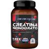 T-Rex Integratori Creatina Monoidrata Micronizzata - Integratore alimentare per massa muscolare e boost energetico pre workout (Frutti di Bosco, 250 g (Confezione da 1))
