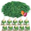 COM-FOUR® 250 g di erba pasquale verde per nidi pasquali, decorazioni