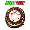 Electrosport Industries STATORE 104mm MAGNETE VOLANO Ducati Sport Classic Paul Smart - 1000 2006