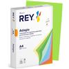 REY ADAGIO REY® ADAGIO, carta riprografica, anice, 80 g, A4, PEFC™, risma da 500 fogli