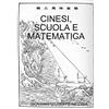 Lulu Cinesi, scuola e matematica