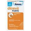 DITREVIT FORTE 15ML NF