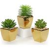 Oairse Set di 3 piante artificiali in vaso di ceramica, piante grasse artificiali, mini piante artificiali in vaso, per bagno, scaffale, cucina, terrazza, oro